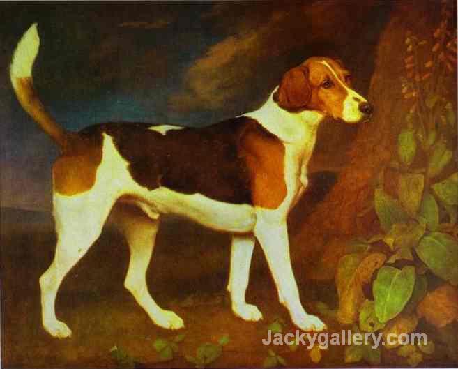 A Foxhound, Ringwod by George Stubbs paintings reproduction